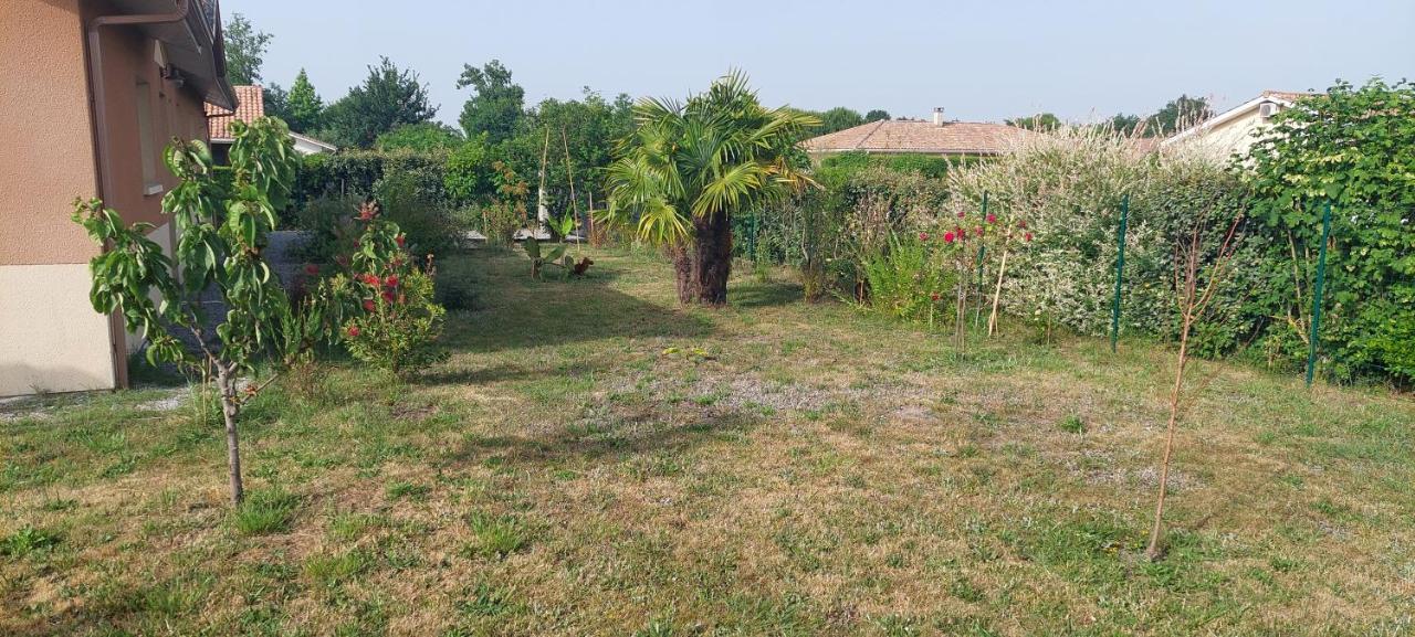 Gite Des Pins Aureilhan  Exterior photo